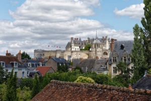 amboise-17-8_35178956593_o